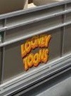 best pontoon boat names looney toons