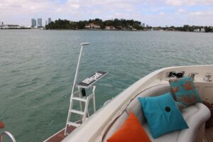pontoon boat accessories Lillipad Diving Board