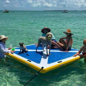 Inflatable Water Platform with a dog on it